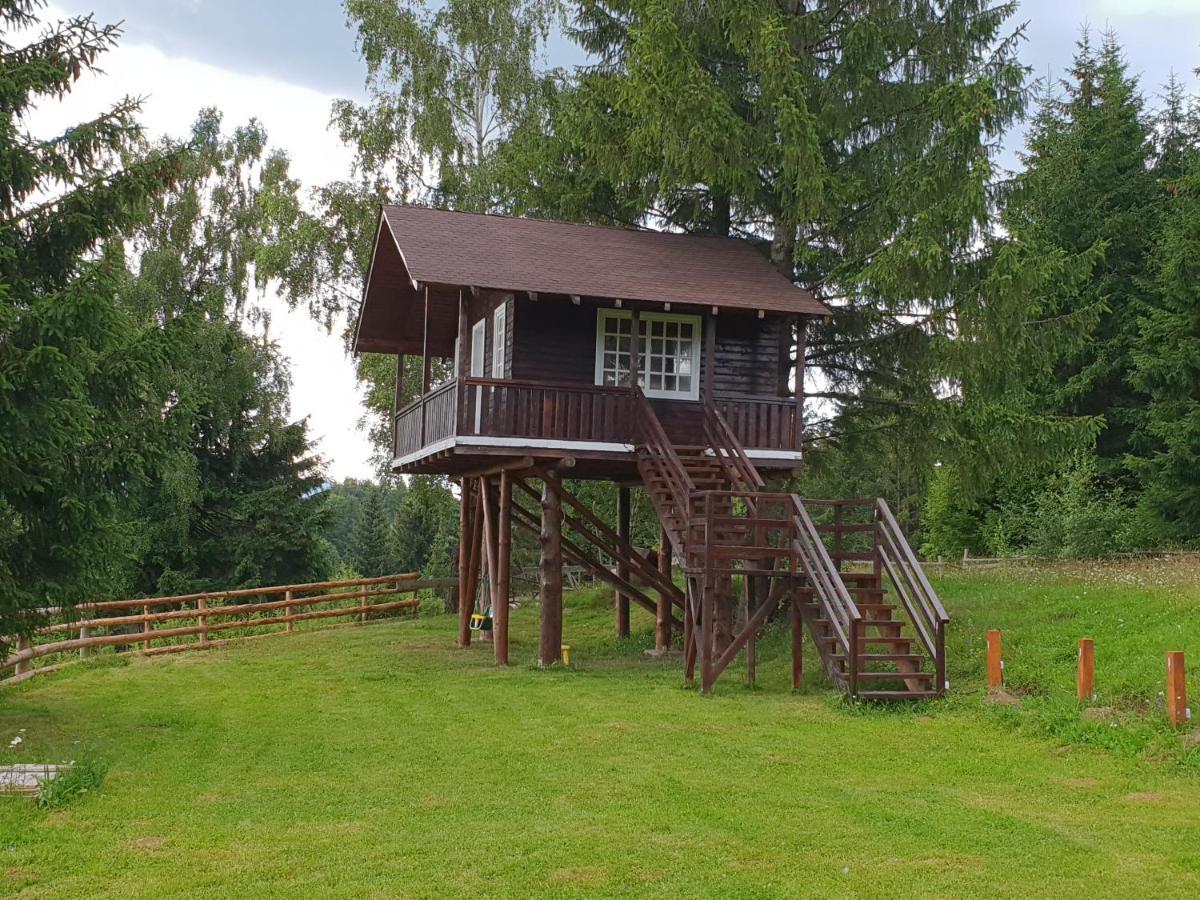 La Vulturi Panzió Fundáta Kültér fotó