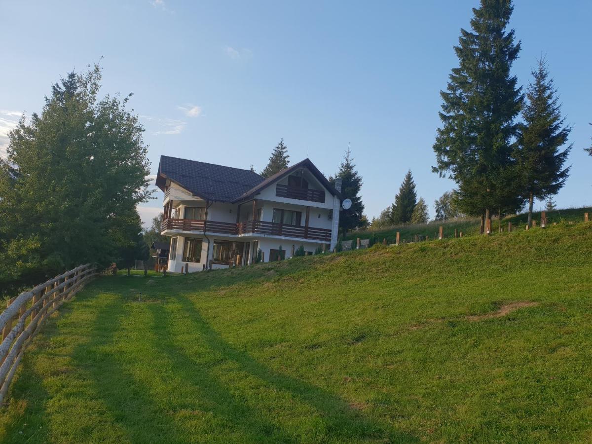 La Vulturi Panzió Fundáta Kültér fotó