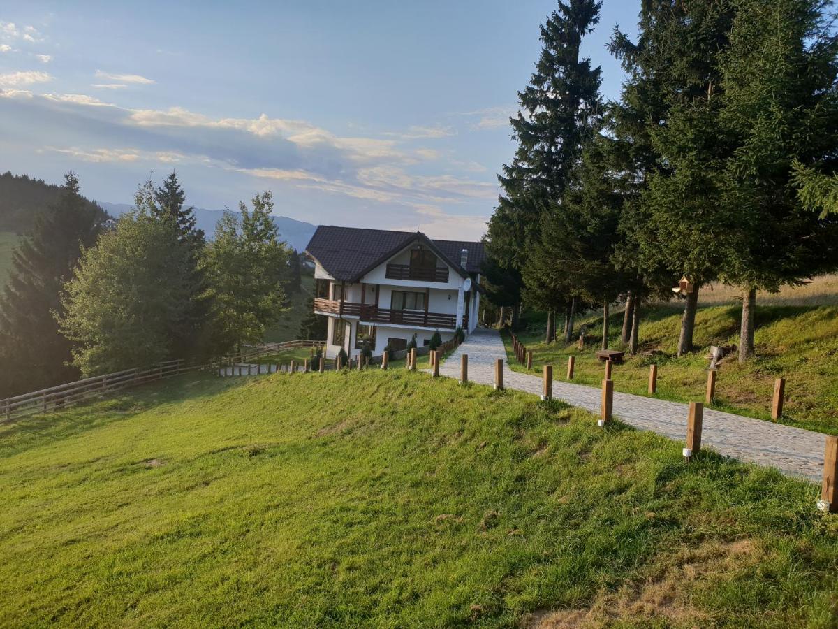La Vulturi Panzió Fundáta Kültér fotó
