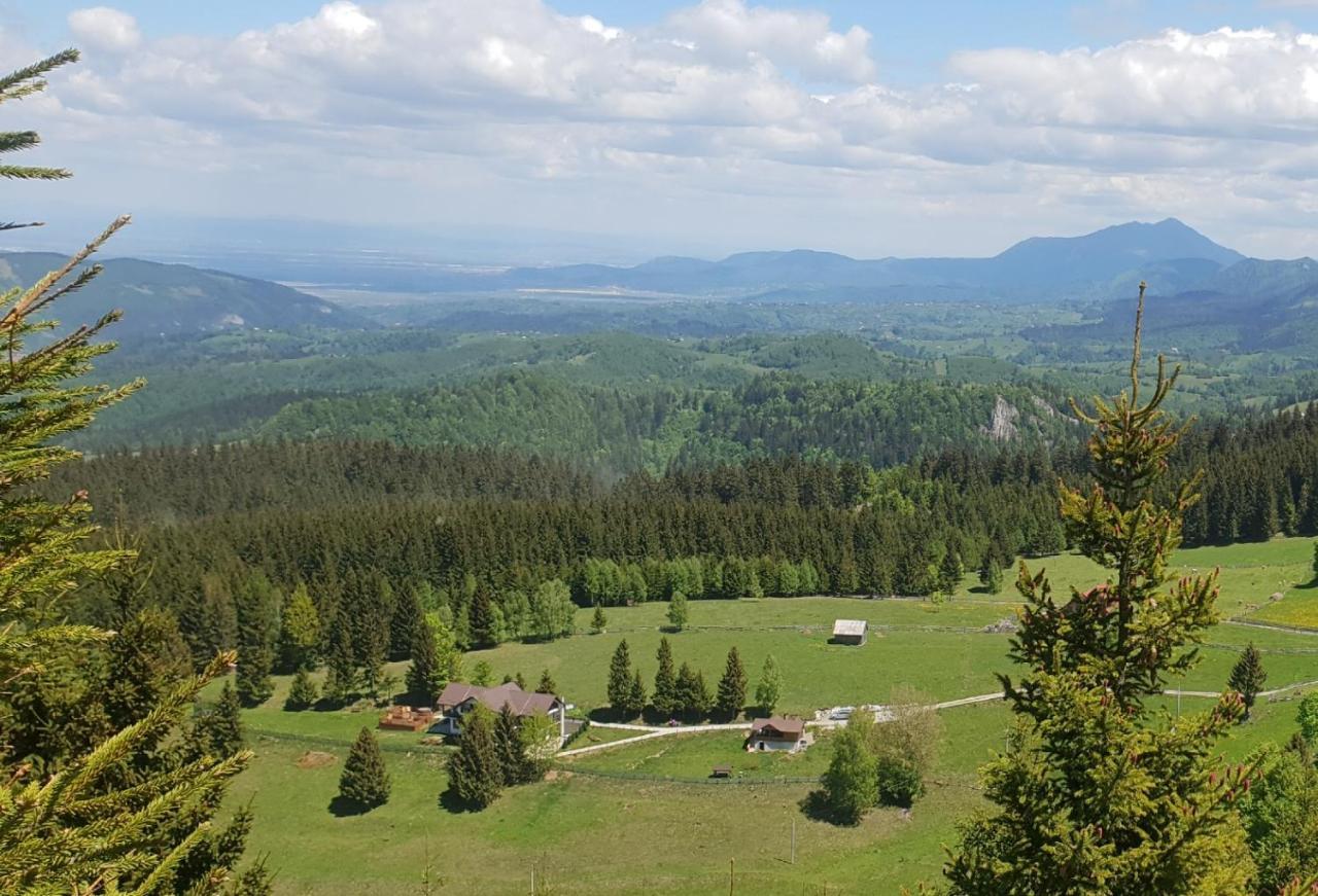 La Vulturi Panzió Fundáta Kültér fotó